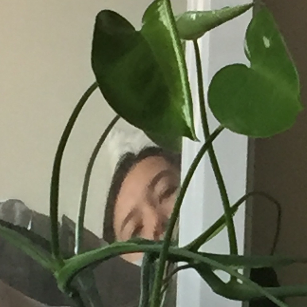 Awake Asleep